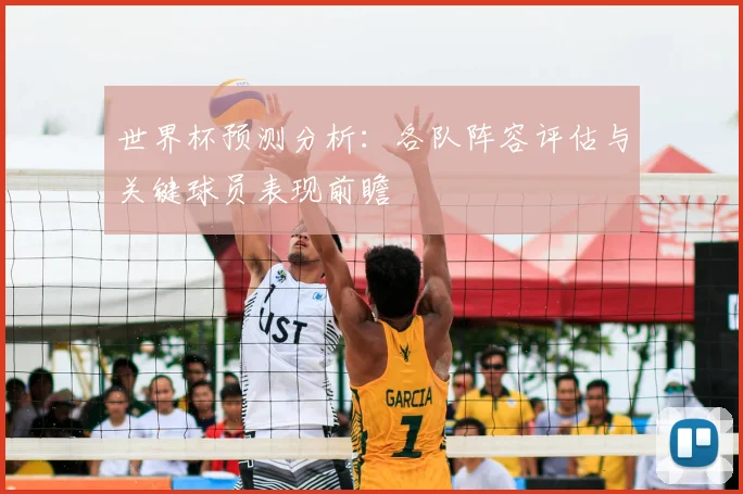世界杯预测分析：各队阵容评估与关键球员表现前瞻